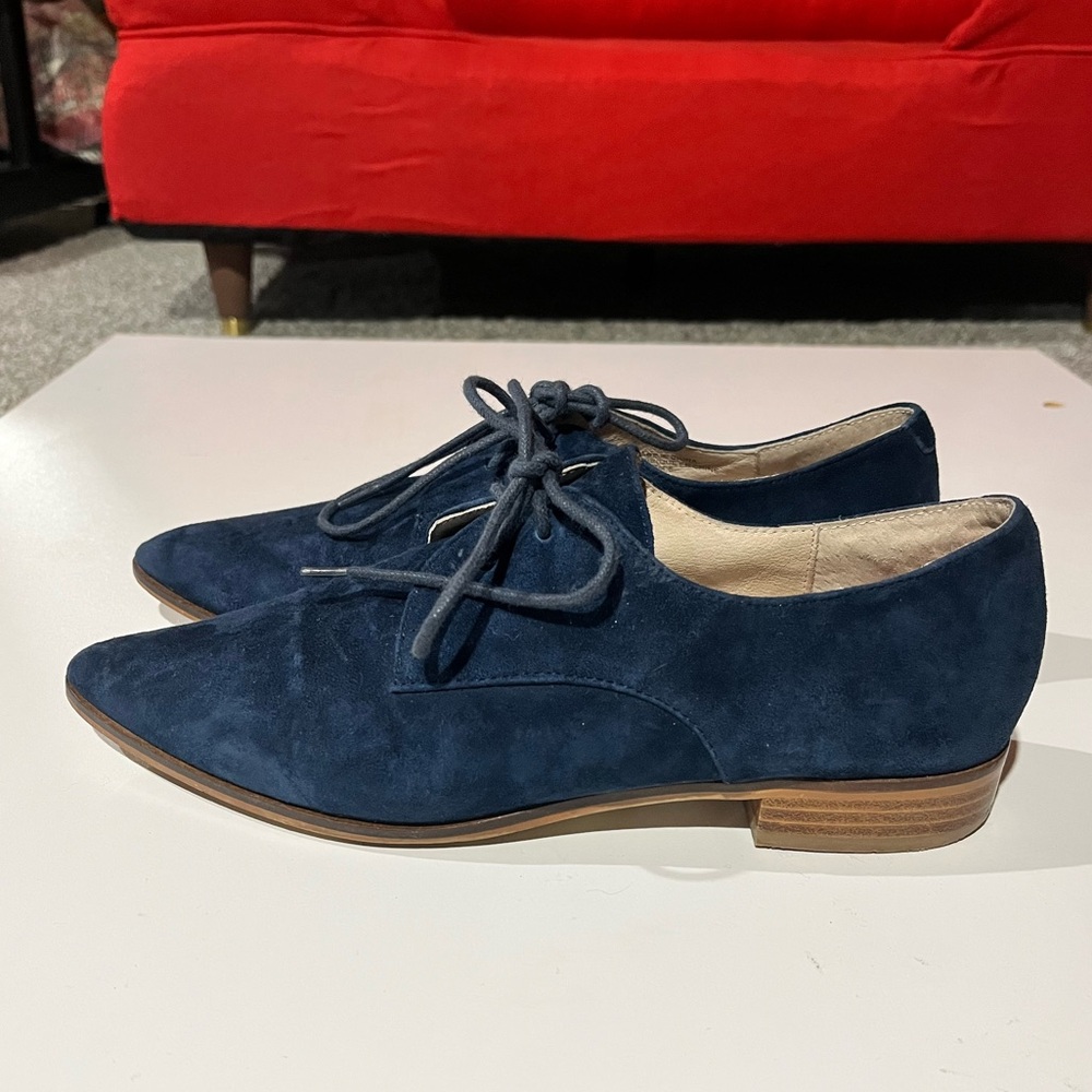 Shellys London Navy Suede Lace-Up Pointed Oxfords